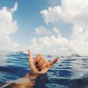 Meet your Posher, Ella